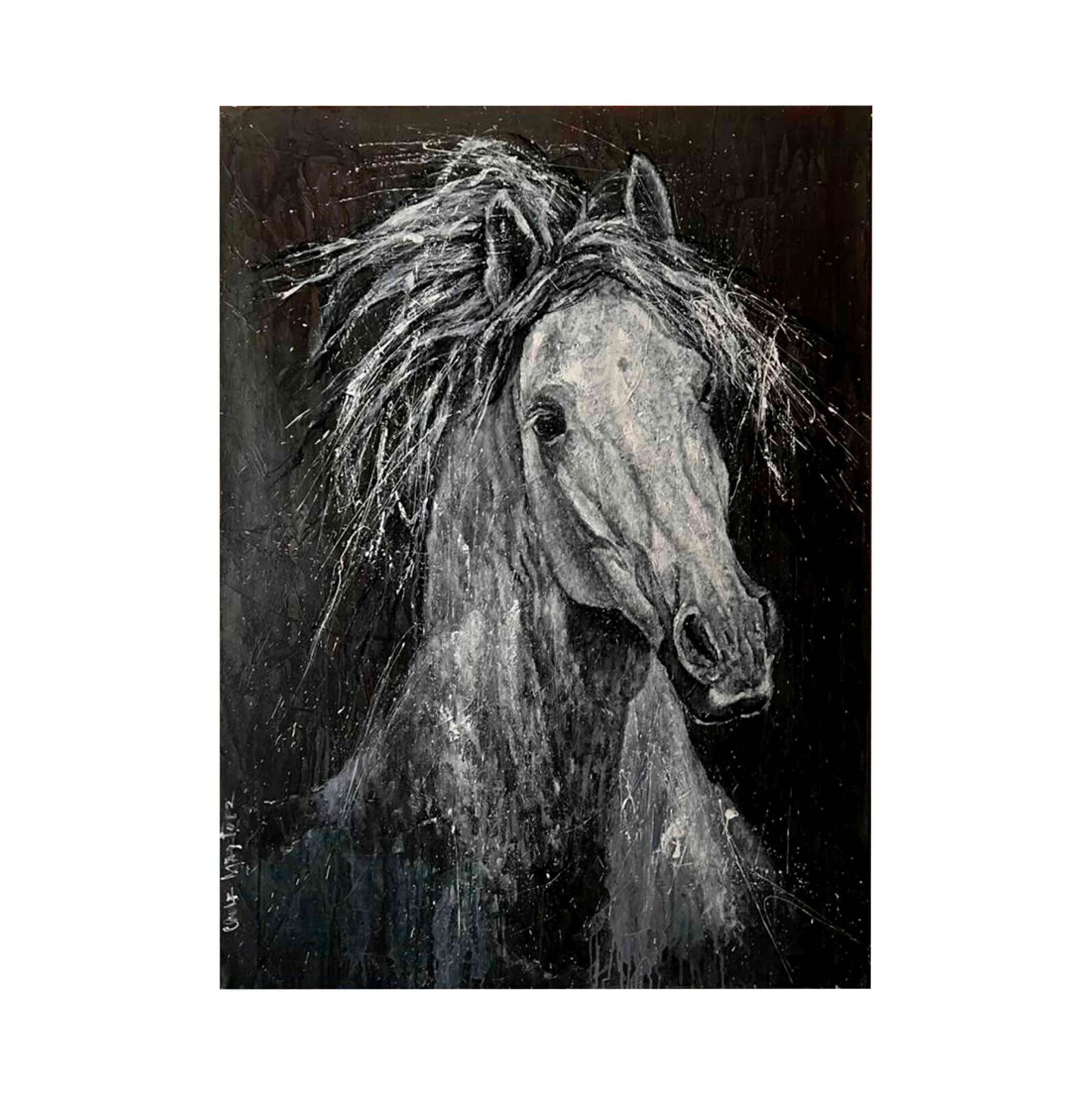 cuadro white horse