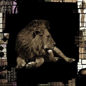 Papel de Pared Memoires - King VP 659 01