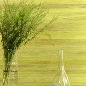 Papel de Pared Robinson RM 902