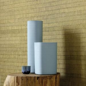 Papel de Pared Robinson RM 901
