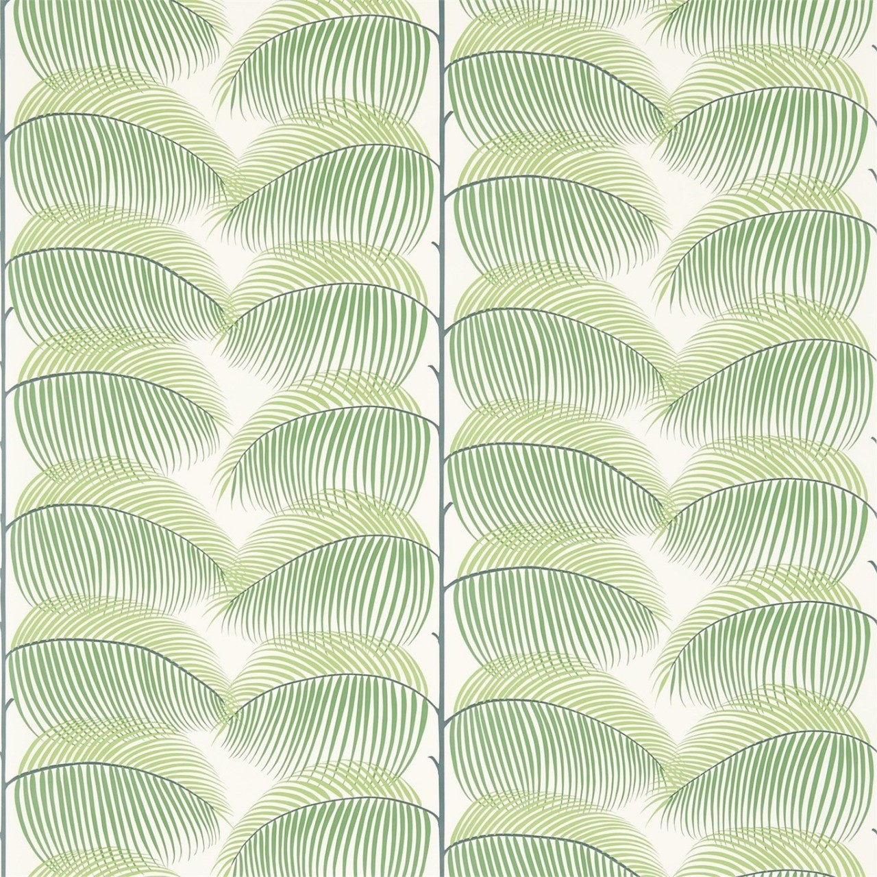 Papel de Pared Manila