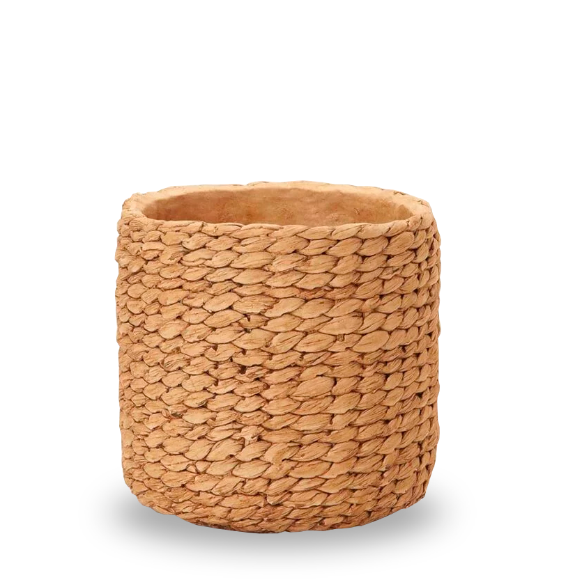 13969 Cachepot