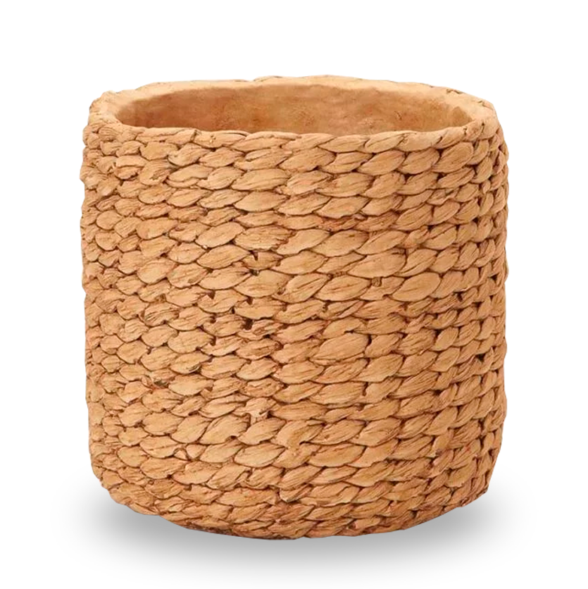 13970 Cachepot