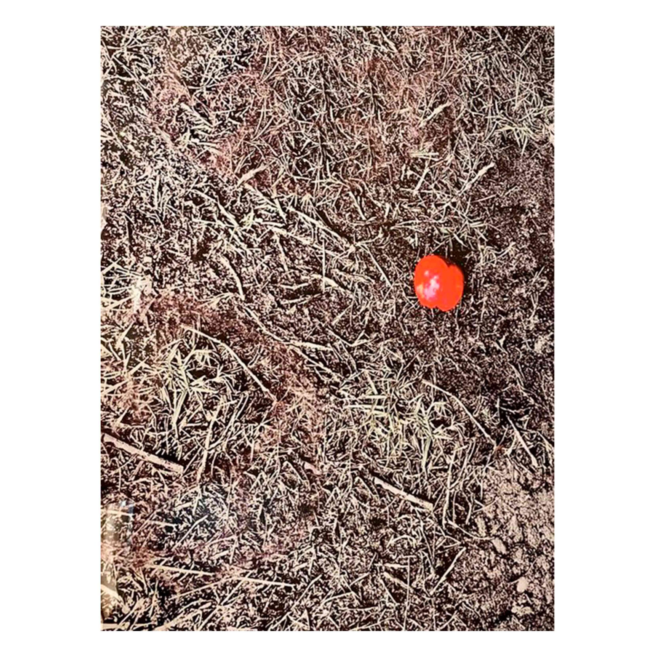 cuadro impreso punto rojo