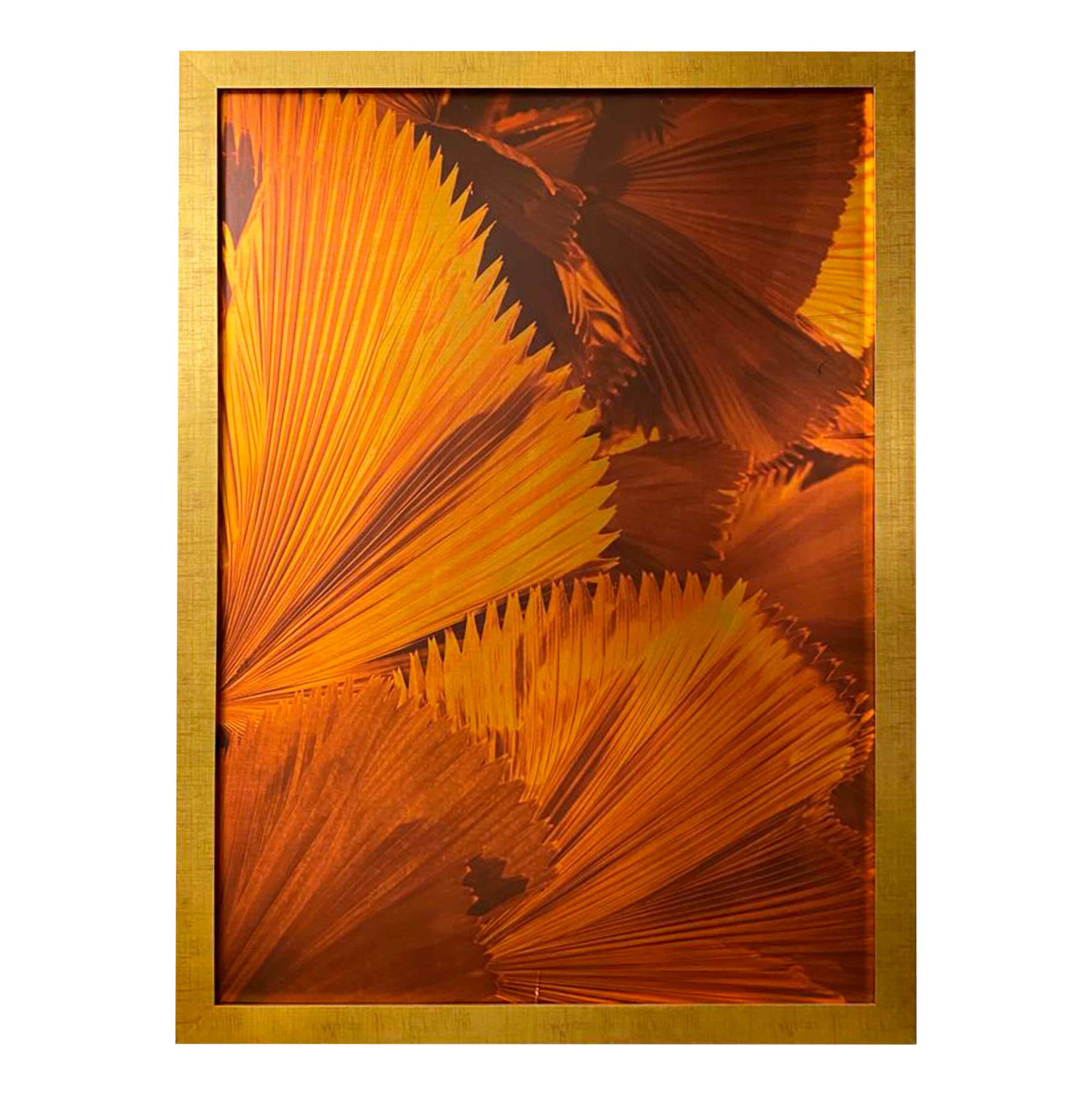 Cuadro "Abanico"