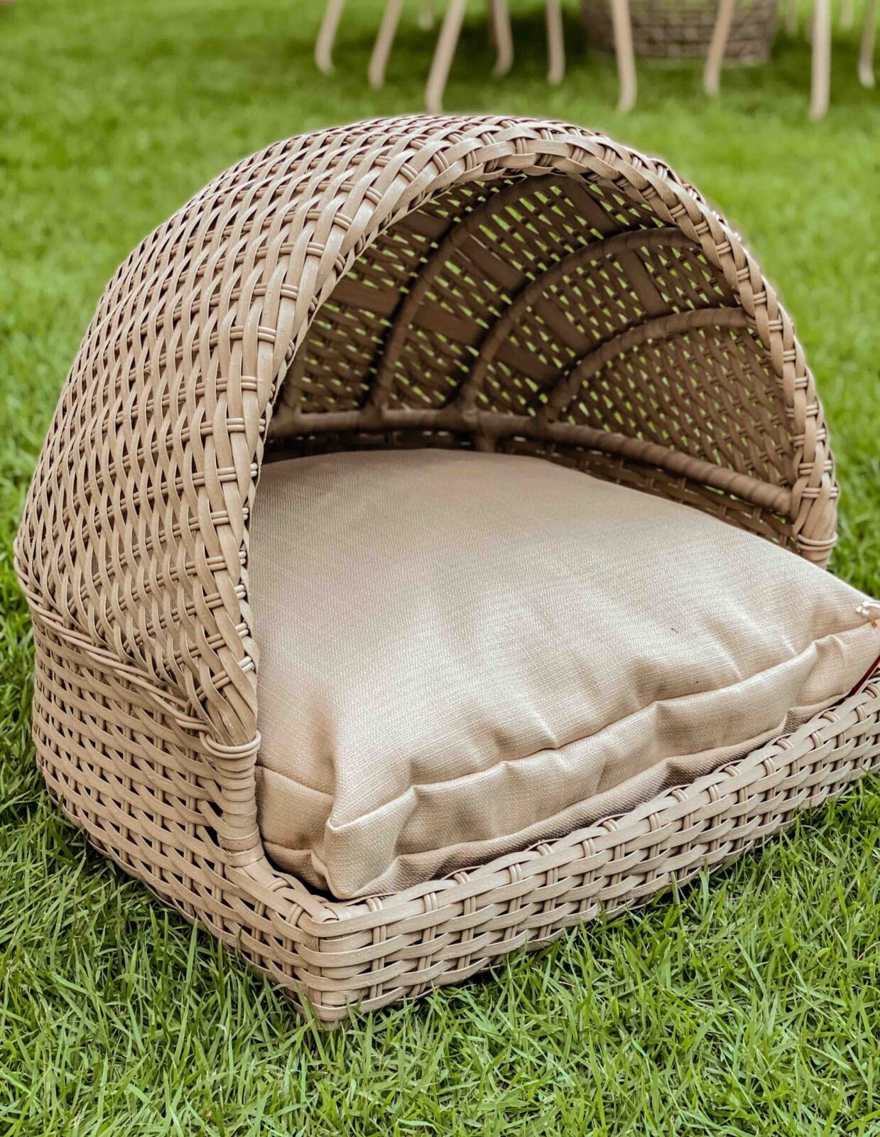 Cama Maggie PET03 Cama Maggie PET03