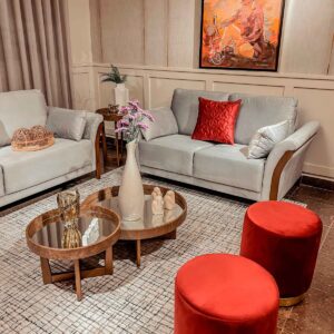 cojin decorativo