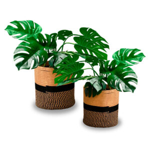 set cesto decorativo
