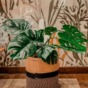 set cesto decorativo