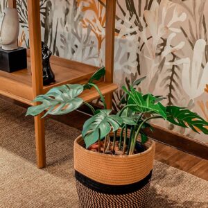 set cesto decorativo
