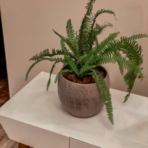 Maceta Pot Cover Alberta