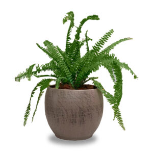 Maceta Pot Cover Alberta
