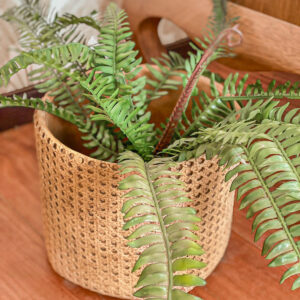 13026 Cachepot