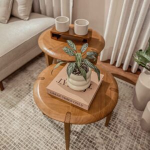 mesa lateral foglia