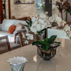 Provenca 215-02-P