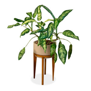 Cachepot Char GG Bajo 208-368