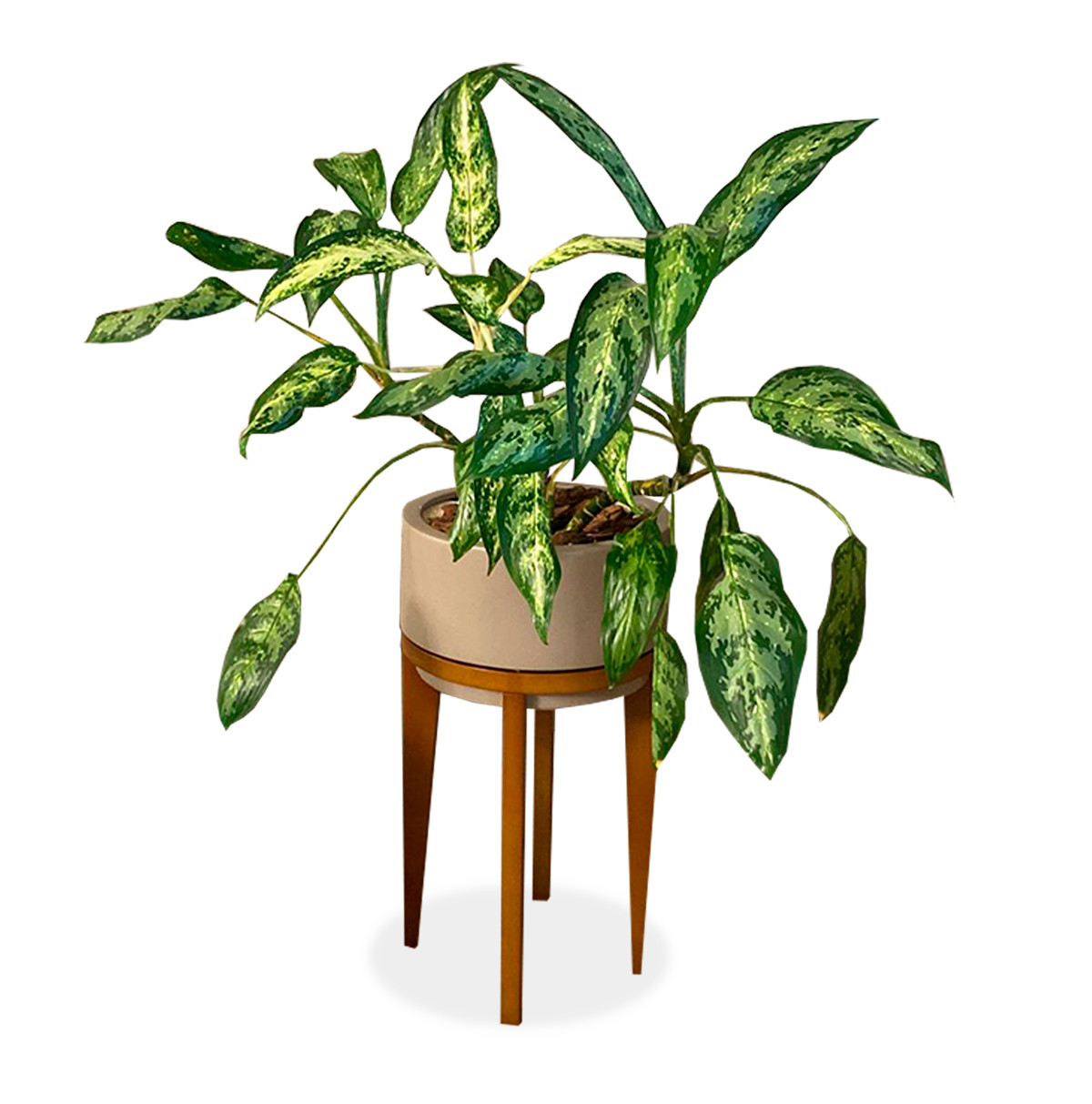Cachepot Char GG Bajo 208-368 (1) Cachepot Char GG Bajo 208-368