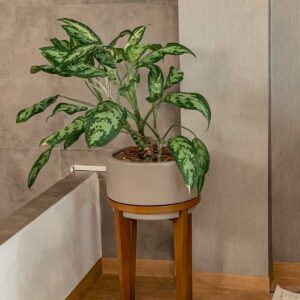 Cachepot Char GG Bajo 208-368