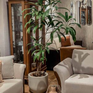 maceta con planta