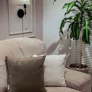 cojin decorativo