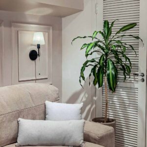 cojin decorativo