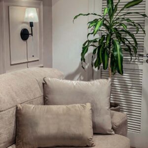 cojin decorativo