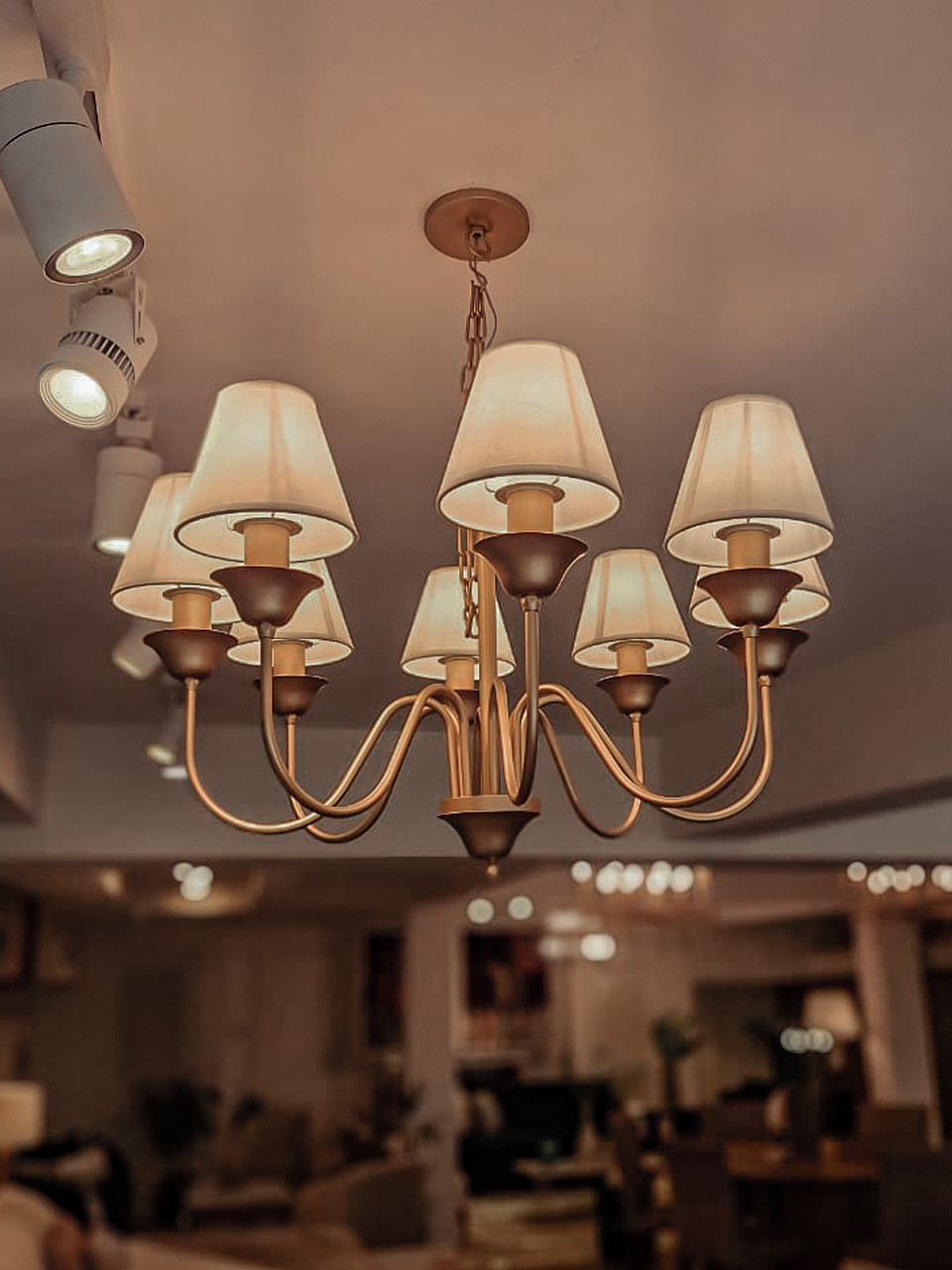 Belga 8 GOLD (4) lampara lustre belga 8 brazos