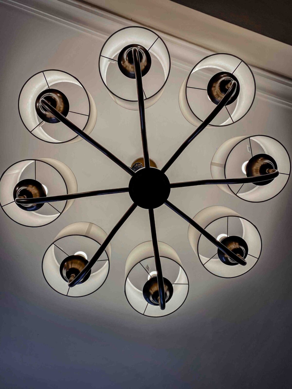 Lustre Alba 8 brazos (4) lampara lustre alba 8 brazos