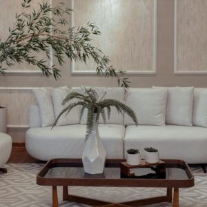 sofa ceu