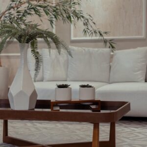 sofa ceu