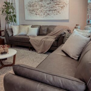 sofa defender