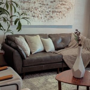 sofa defender