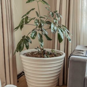 maceta blanco