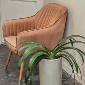 maceta con planta