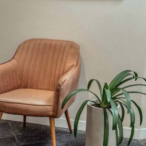 maceta con planta